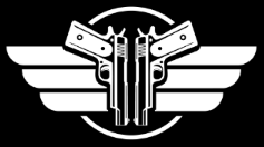 Pistol Shooting Sports